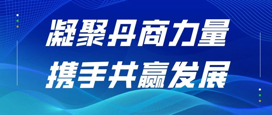 丹灶总商会2024年工作回顾