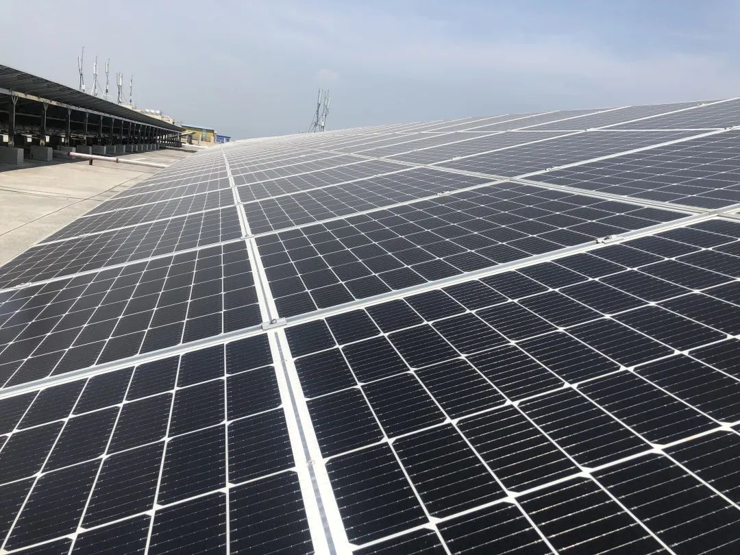 1659601415944065.jpg 640-4.jpg